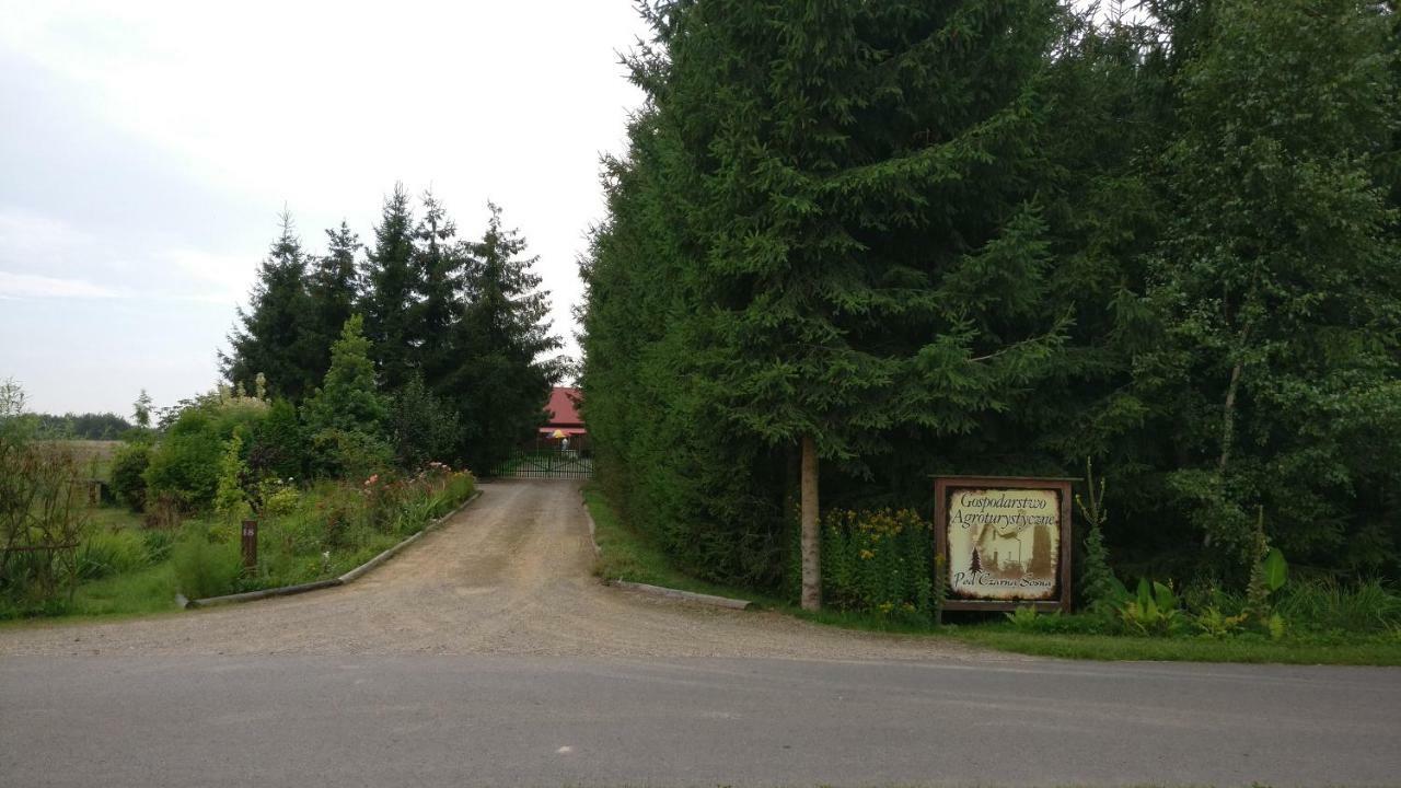 Agroturystyka Pod Czarna Sosna Bialy Lug Bagian luar foto