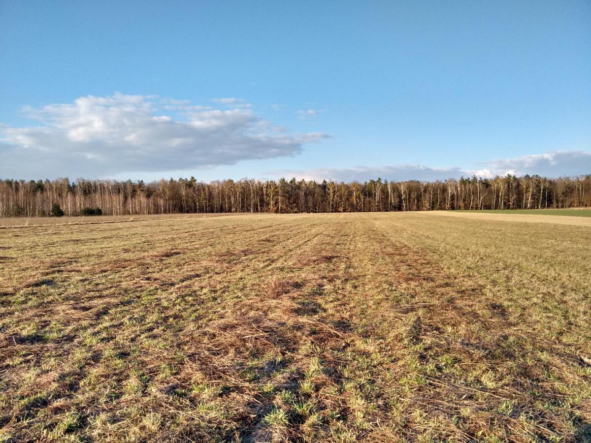 Agroturystyka Pod Czarna Sosna Bialy Lug Bagian luar foto