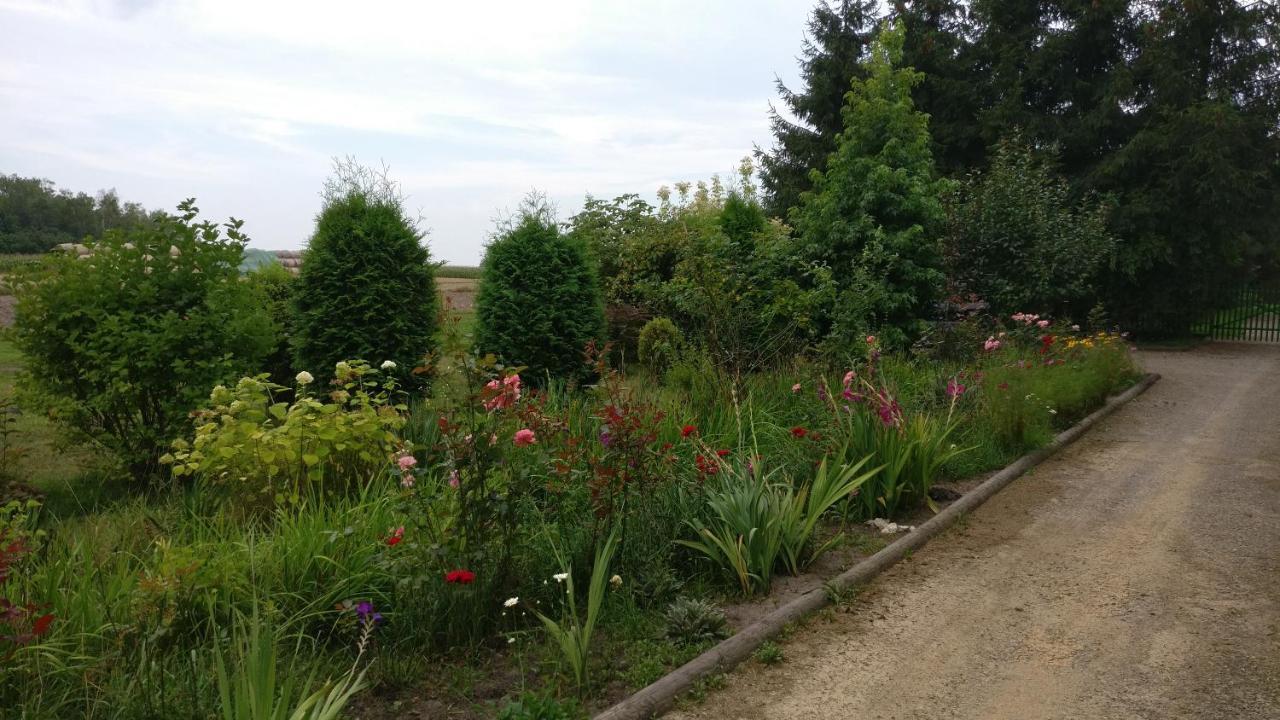 Agroturystyka Pod Czarna Sosna Bialy Lug Bagian luar foto